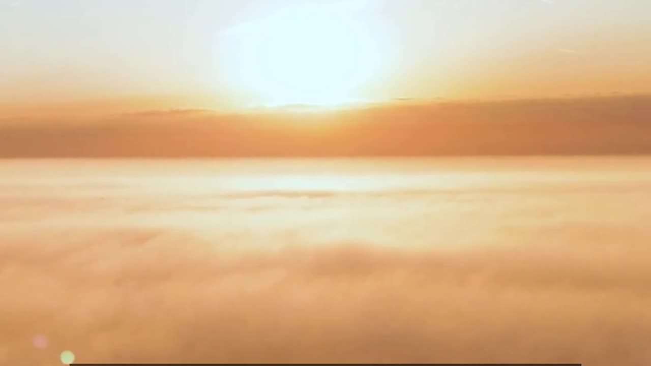 Daily Horoscope | Leo 🌟