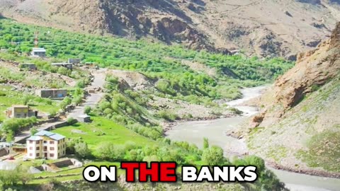 Afghanistan’s Poppy Trade: The Secret Deal That Changed Everything