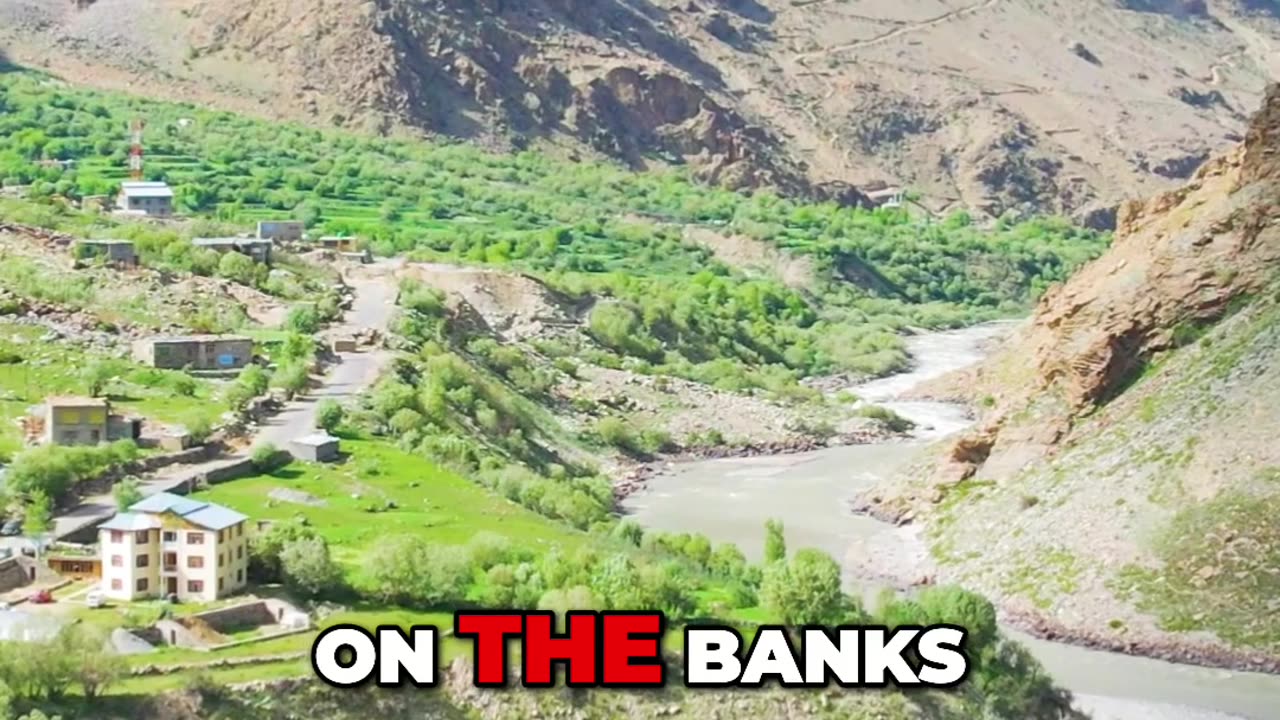 Afghanistan’s Poppy Trade: The Secret Deal That Changed Everything