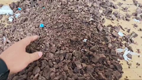 GD5 Twin-Shaft Shredder for Chocolate Blocks!