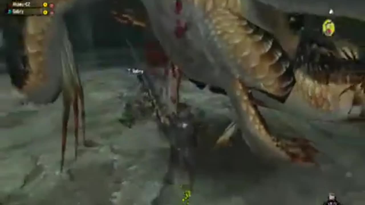 MHFO l Dual Plesioth | Lance | 2010