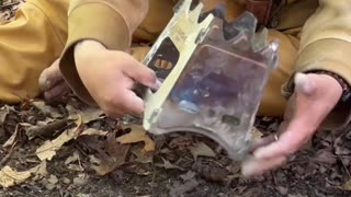 🔥 Bushcraft Day in the Forest — Shelter, Fire & Coffee 🌲