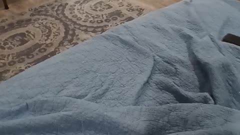 Audiobook recording part 12, chapters 67-72