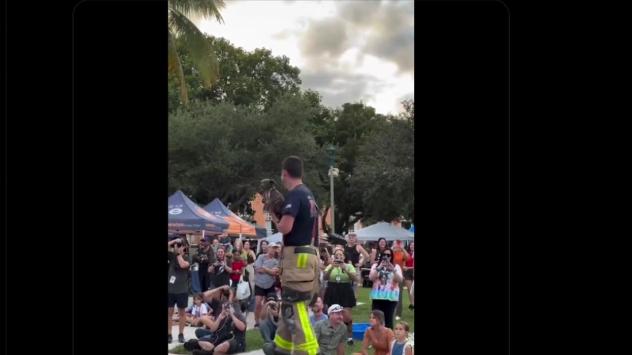 Fuʞ Cats/Yayyyy Dogs!!! • by DP • 11-21-2025