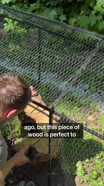 Red Foot Tortoise Outdoor Ebclosure Build.