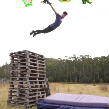 How different animals take fall damage