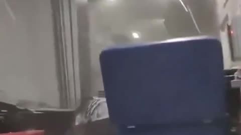 🤯😮 This Duck Saves A Life During A Philippines Earthquake! | FeedMyCuriosity