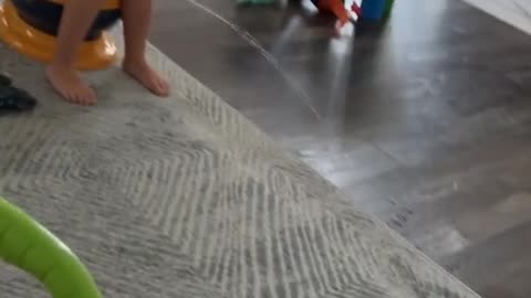 Misguided Potty Training Attempt