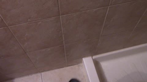 Dylan The Sponge Take 5