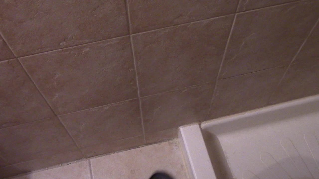 Dylan The Sponge Take 5