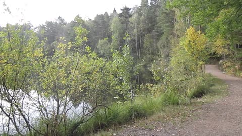 Vättlefjäll nu tidigt på morgonen.