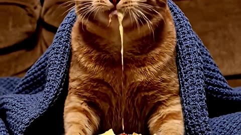 What happened, can't I eat?