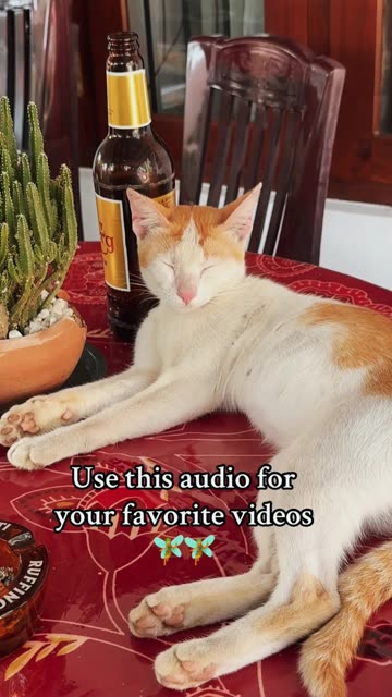 I have problems at home.