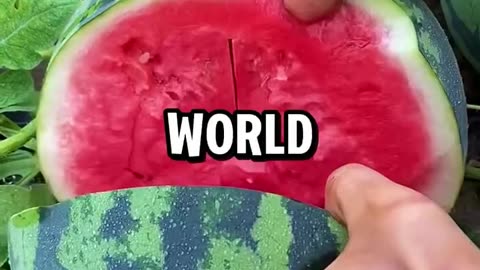 The rarest fruit in the world