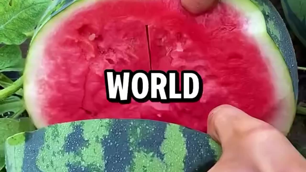 The rarest fruit in the world