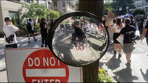 2025 NYC Animal Liberation March