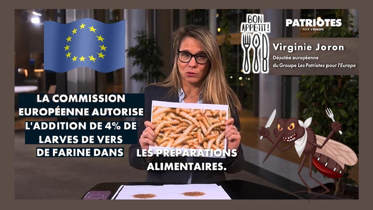 L'U.E autorise la farine d'insectes dans nos aliments ! Virginie Joron nous raconte (Hd 720) Voir descriptif