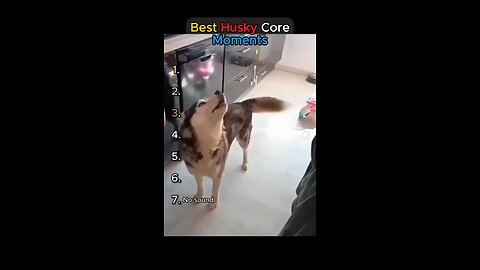 best husky core moments