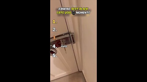 Funny Cats, Funny Kittens, Funny Animals