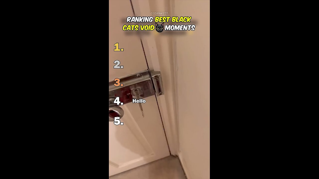 Funny Cats, Funny Kittens, Funny Animals