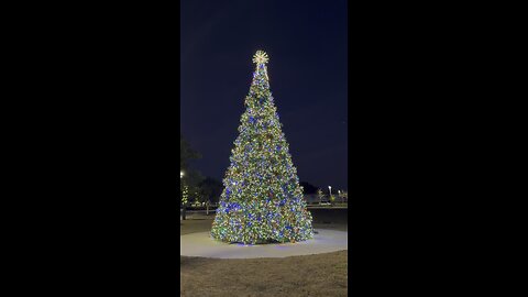 2025 Marco Island’s Stunning Christmas Tree! | 4K