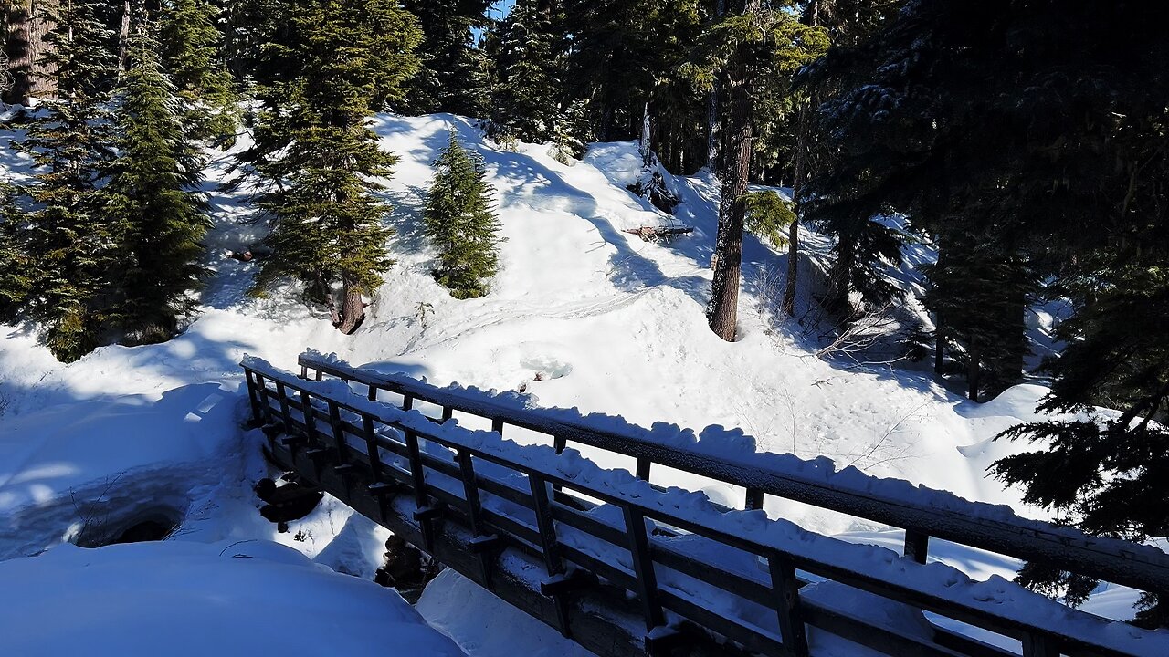 FULL WINTER SNOWSHOE HIKE 4K Elk Meadows Trail to Clark Creek Bridge! | Mount Hood Wilderness Oregon