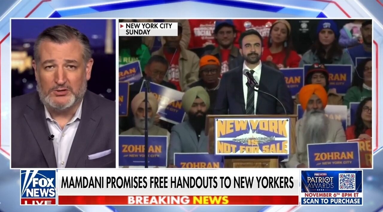 Sen Ted Cruz: Democrat Party Has Lost Their Minds