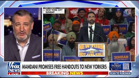 Sen Ted Cruz: Democrat Party Has Lost Their Minds