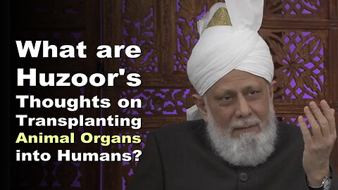 What are Huzoor's Thoughts on Transplanting Animal Organs into Humans?