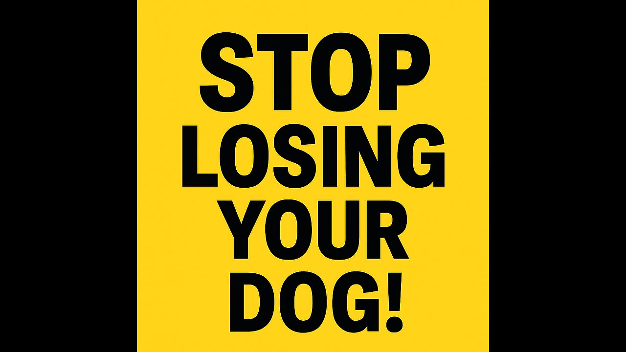 Custom Personalized Dog Harness With Name & Phone Number | No-Pull & Safe