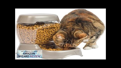 Petmate Pet Cafe Feeder Dog and Cat Feeder Pearlescent Colors 3 Sizes Review