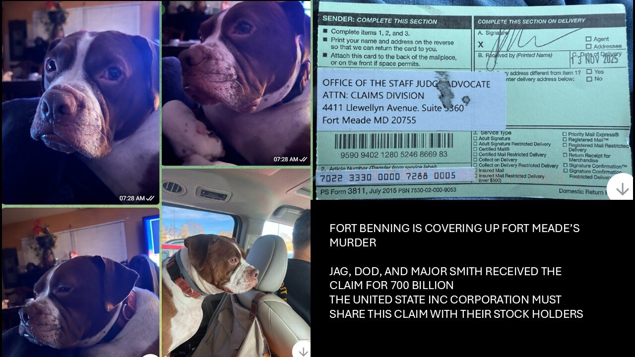 A NOTE TO THE US INC FOREIGN CORP GENERAL COUNSELOR IS A NOTE TO THE PRIME. YOU CANNOT KILL MY DOG