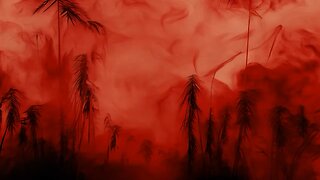 无论身在何处， 一轮明月共此时。 愿每位战友都被温柔的月光照亮， 被远方的思念轻轻包围。 🌕祝全球战友中秋快乐 · 奋进同行 🙏🏻
