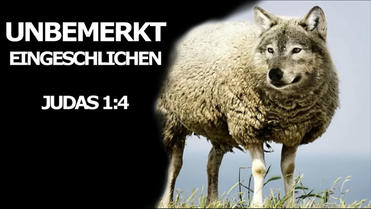 Unbemerkt eingeschlichen - Ulugshan T.