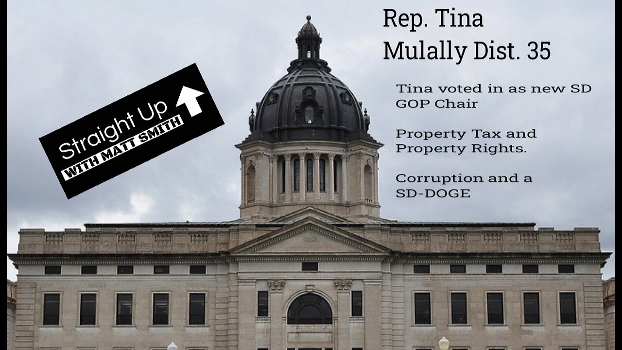 Political Musings Under the Dark Dome With Rep. Tina Mulally Dist 35