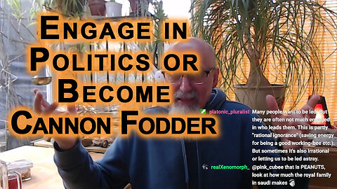 Engage in Politics or Become Cannon Fodder