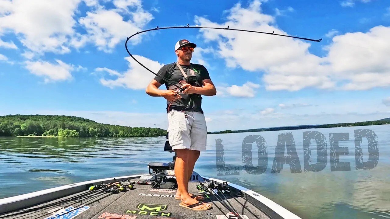 Found Them LOADED!!!! Ledge Fishing LAKE GUNTERSVILLE! (INSANE)