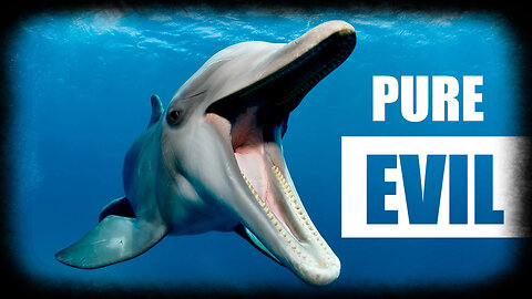 The Dark Side of Dolphins