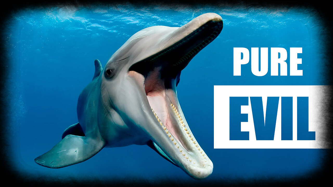The Dark Side of Dolphins