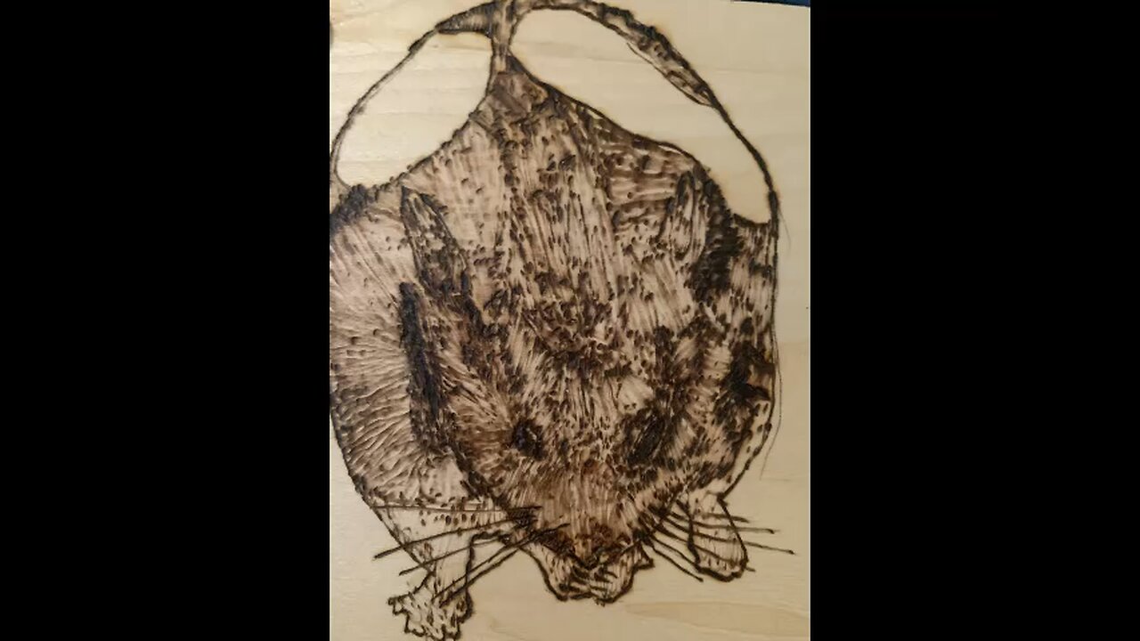 My recent Wood Burnings