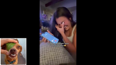 Funny videos compilation 32