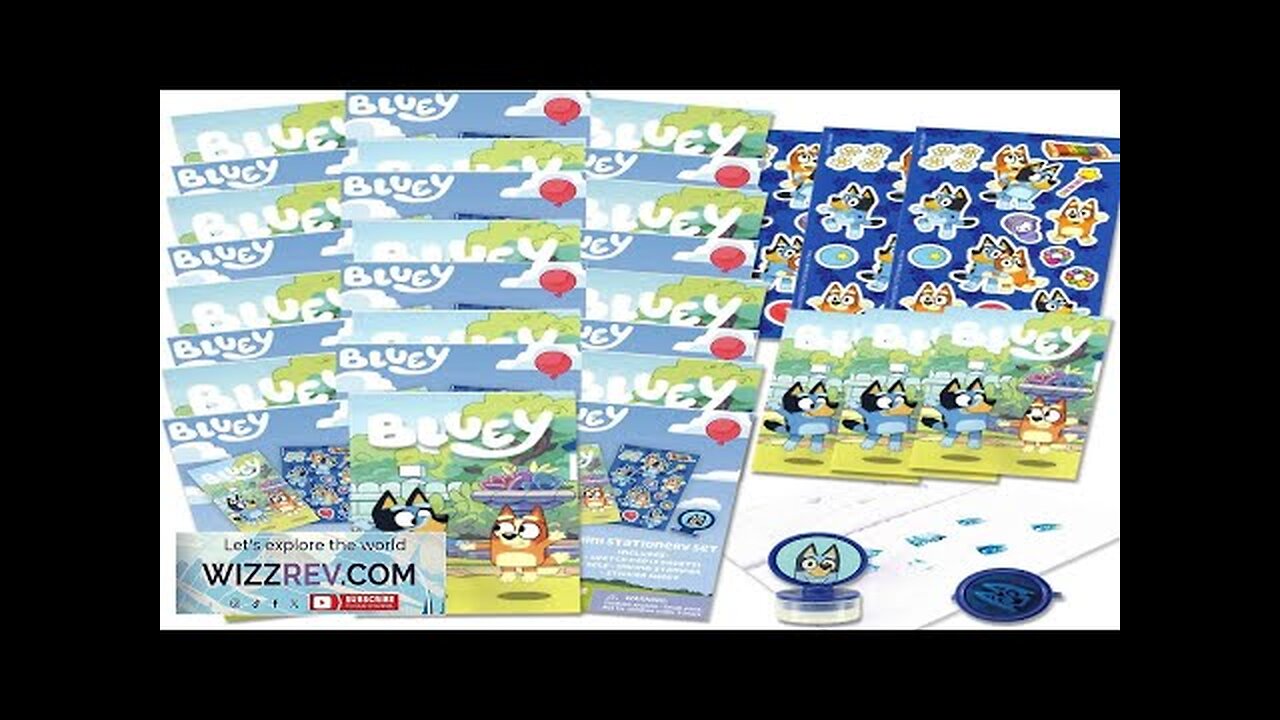 Bluey Birthday Party Favor Set Bundle with 24 Bluey Activity Packs Review