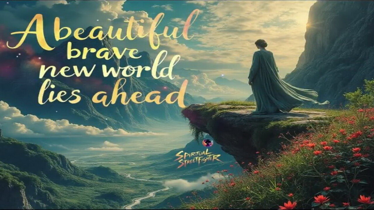 FAFO TV - ART OF WAR 4