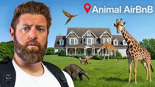 I Stayed at America's Best 'Animal Airbnb'