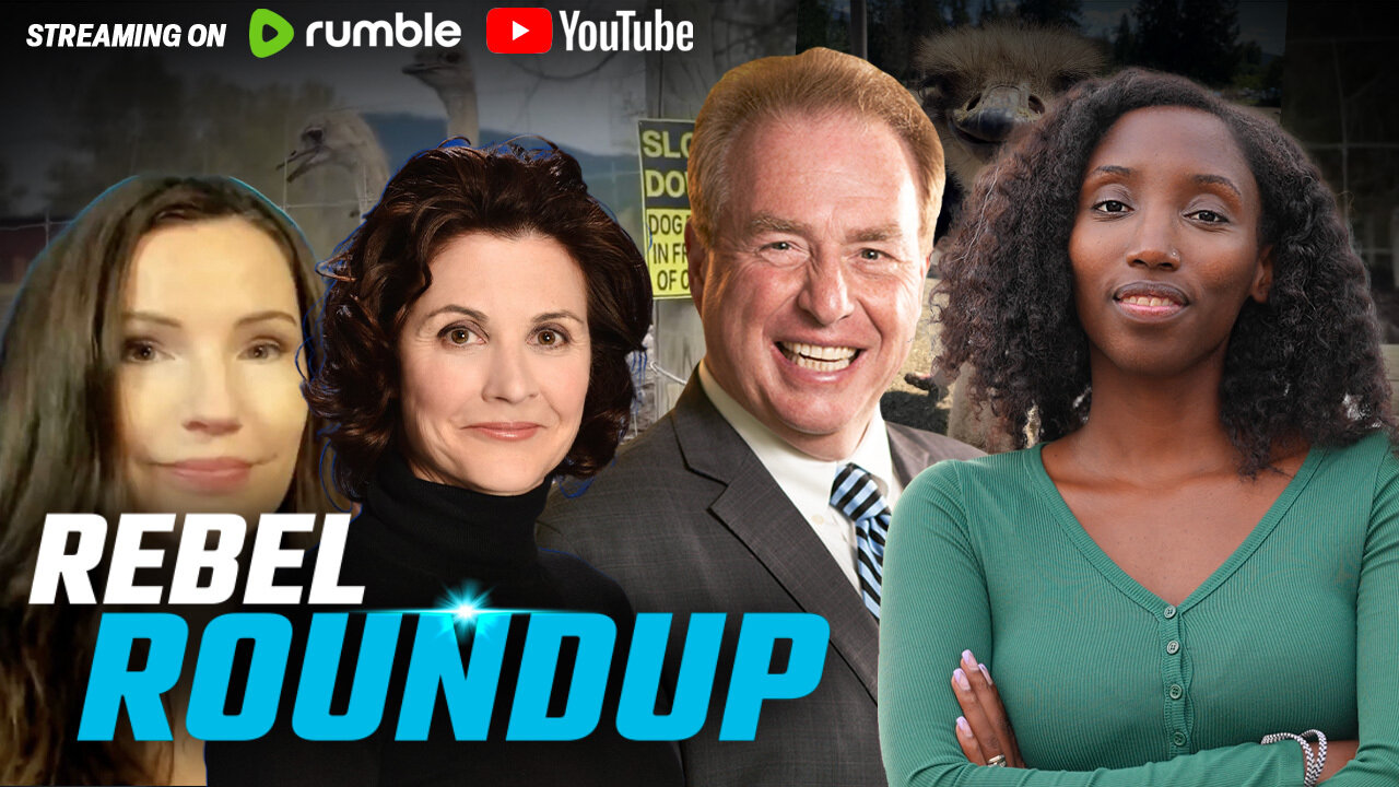 Ostrich Cull latest update, BC Conservatives boot another MLA | Rebel Roundtable
