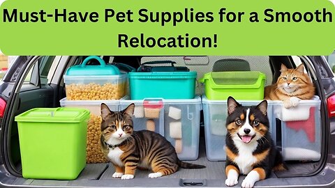 Must-Have Pet Supplies for a Smooth Relocation! 🐾🚚#PetRelocation #MovingWithPets #PetSupplies