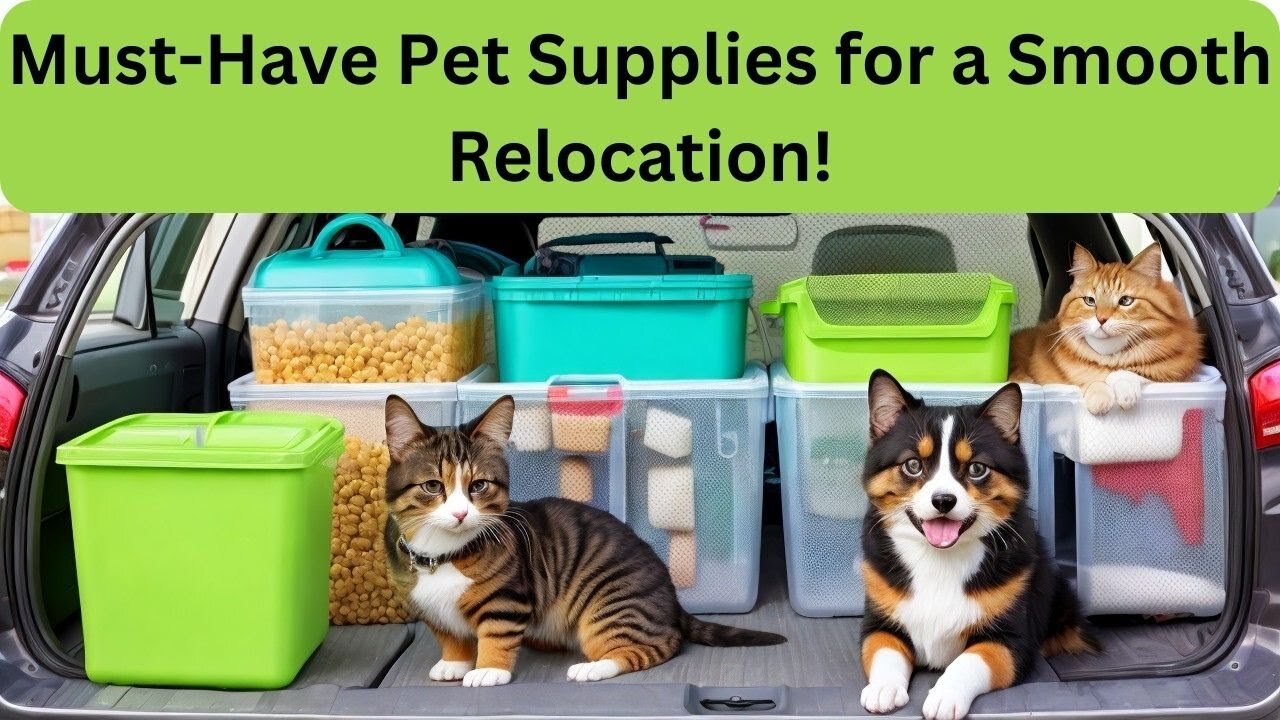 Must-Have Pet Supplies for a Smooth Relocation! 🐾🚚#PetRelocation #MovingWithPets #PetSupplies