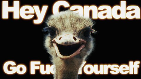 🚨Save The Ostriches!