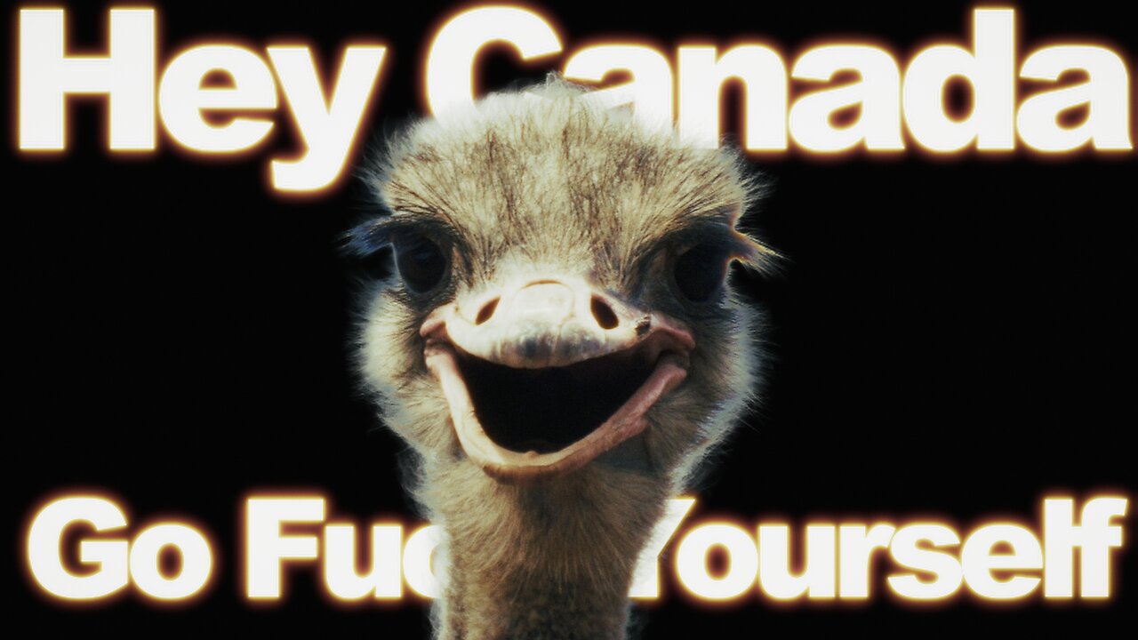 🚨Save The Ostriches!
