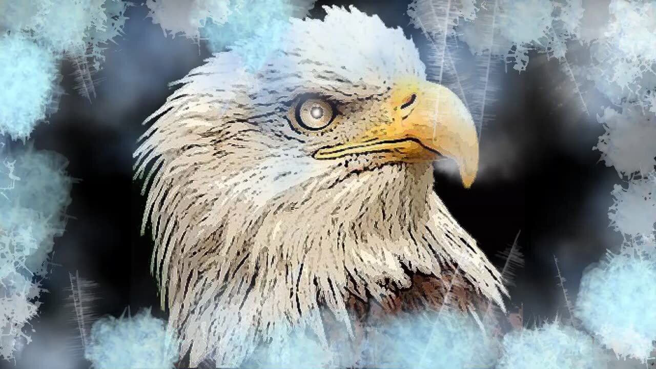 📽️ 🎞️ Thursday Night Docu - 8:00pm EST 2/13/25 - 100% Free Speech Chat .Source/Desc in comments.